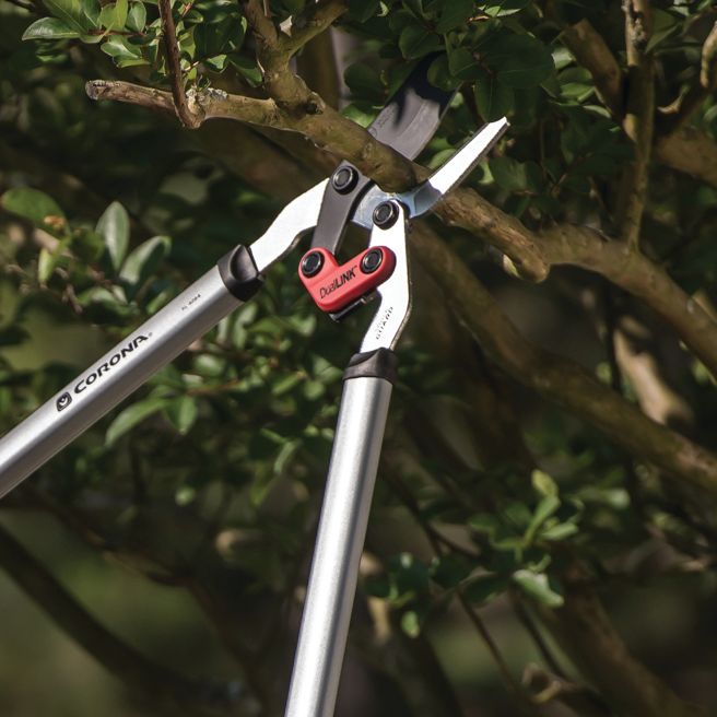 Season after season: a year of Corona's high quality garden tools from the USA